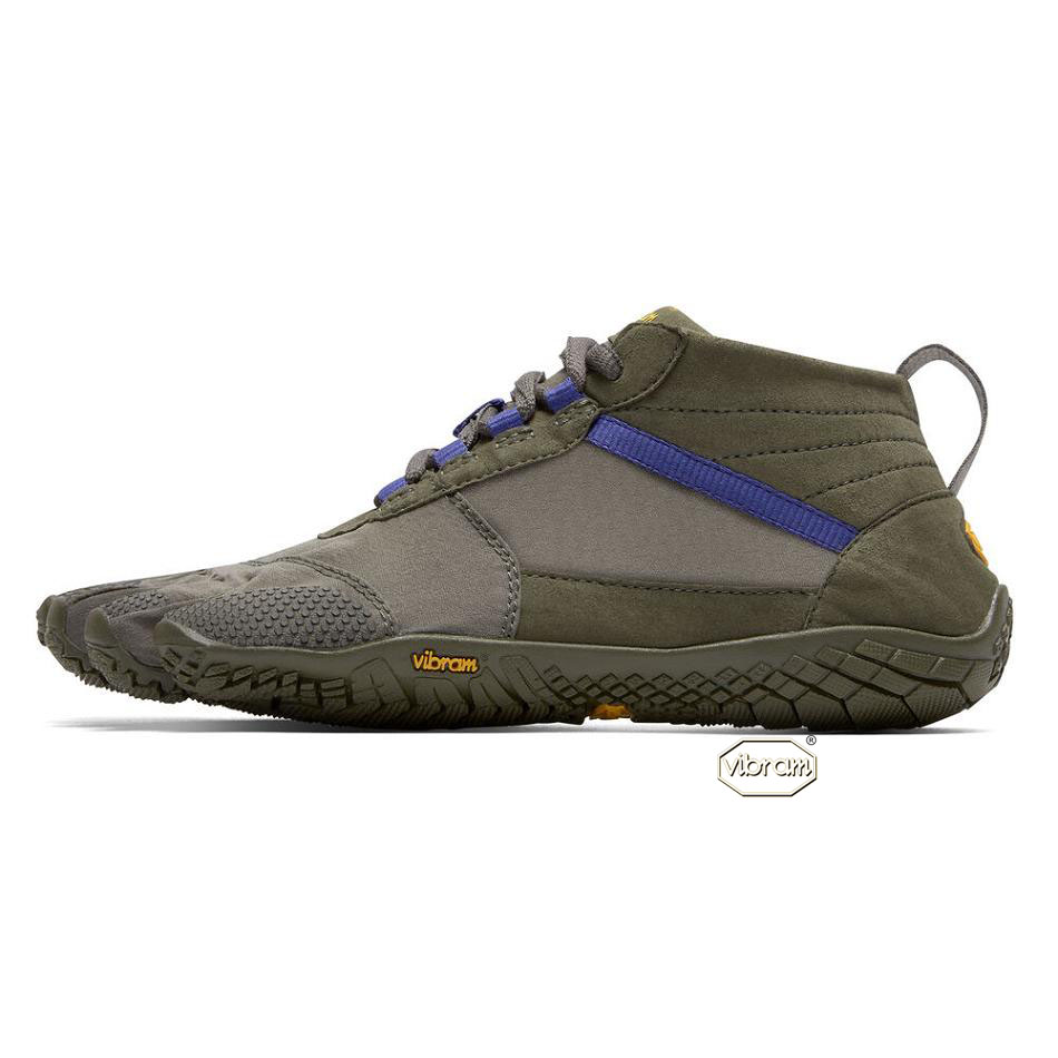 Women's Vibram V-Trek Casual Shoes Purple | AUX37