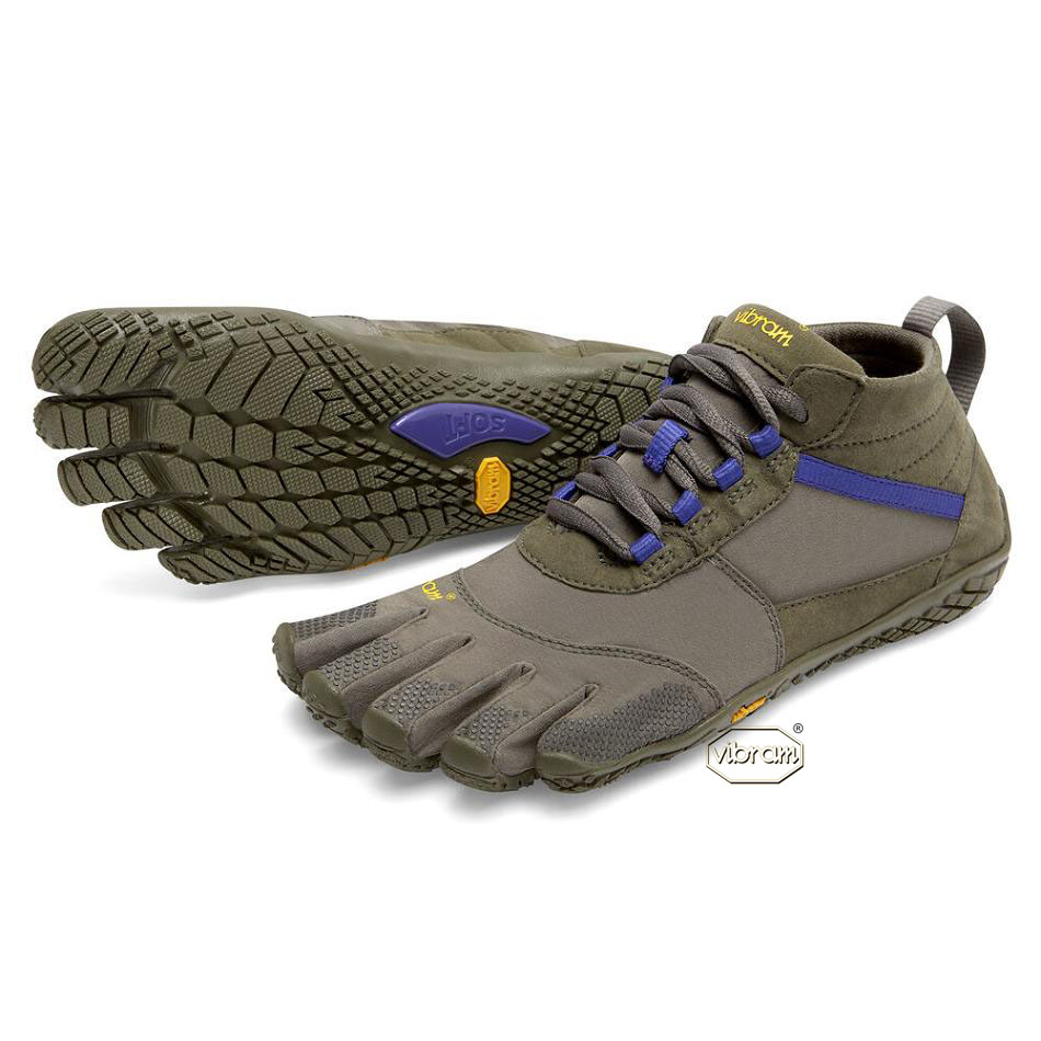 Women\'s Vibram V-Trek Casual Shoes Purple | AUX37