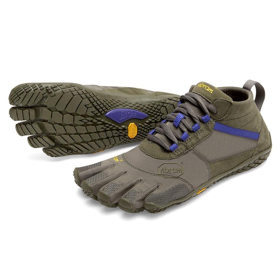 Women\'s Vibram V-Trek Hiking Shoes Purple | AUH83